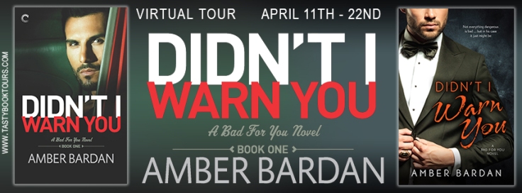VT - Didn't I Warn You by Amber Bardan
